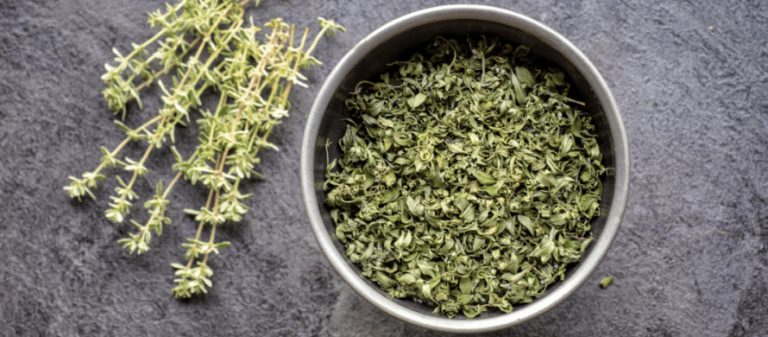 تصویر 3 از فروش عمده آویشن شیرازی خشک‌ شده مرغوب با قیمت روز و تضمینی