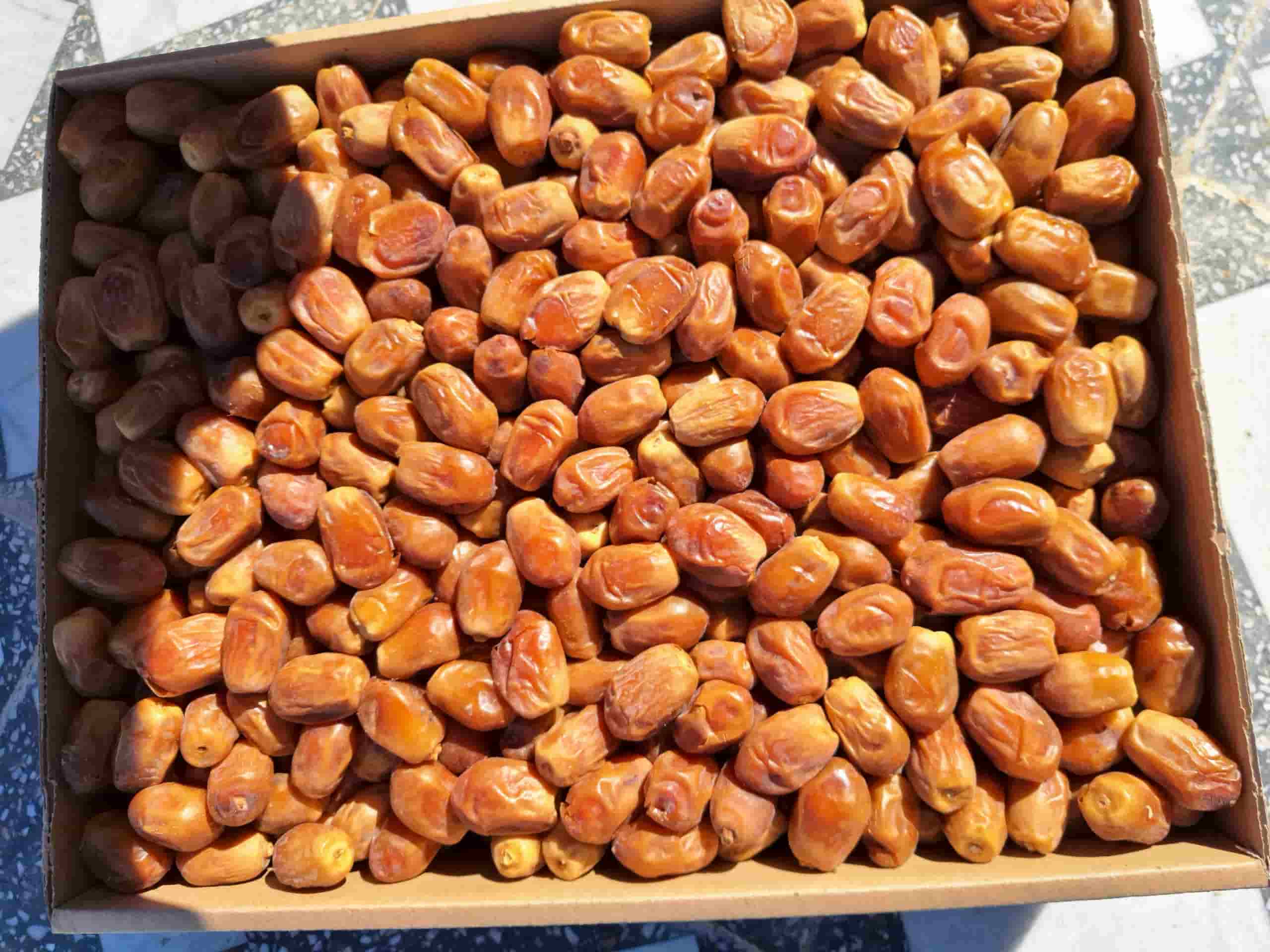 خرمای زاهدی + قیمت خرید