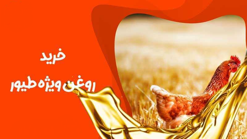 تصویر 2 از مرکز فروش روغن مرغی خام و تصفیه شده + قیمت‌ رقابتی