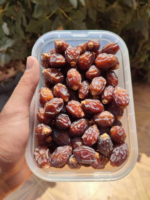 تصویر 1 از خرید خرما خاصویی بوشهر + قیمت عالی با کیفیت