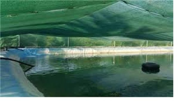 تصویر 3 از توری سایبان برای پوشش استخر اصفهان قیمت