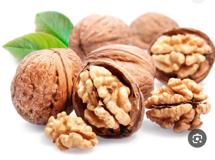 تصویر 1 از خرید فروش گردوی درختی به صورت عمده با تضمین قیمت مناسب و سود طرفین