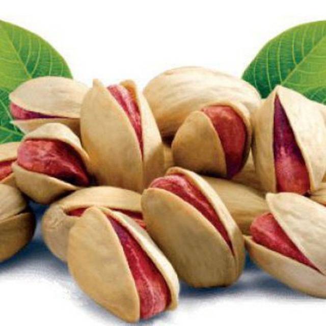 فروش مستقیم پسته اکبری عمده کیفیت عالی و تضمینی