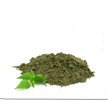 تصویر 1 از فروش عمده عصاره گزنه خشک (پودری) گرید A