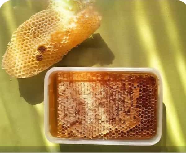 تصویر 5 از خرید نقدی عسل وحشی + تخفیف ویژه