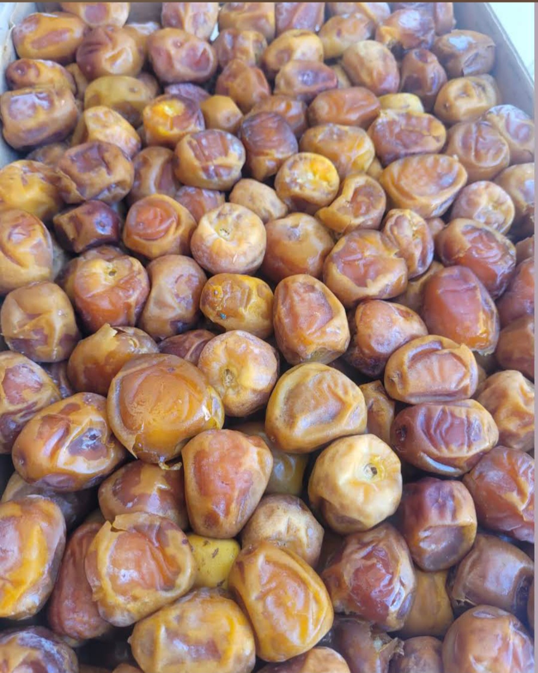 خرما ضیافتی برحی + خرید به صرفه