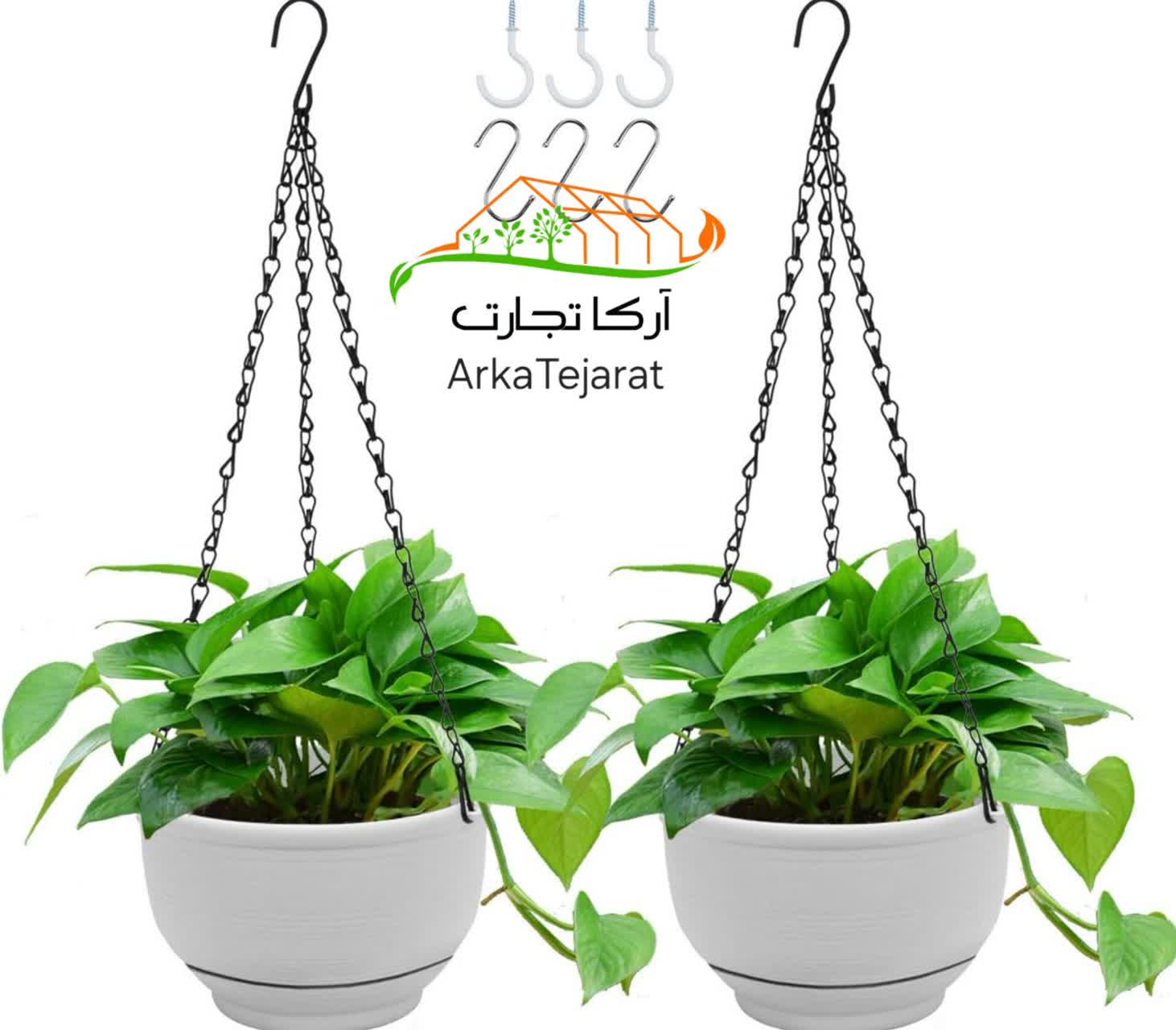 تصویر 1 از فروش عمده انواع گلدان پلاستیکی مشکی و رنگی با نازل ترین قیمت