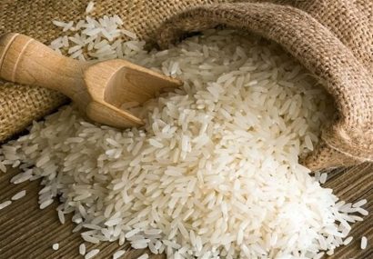 تصویر 2 از قیمت برنج کامفیروز اعلا + کشت امسال