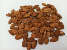 تصویر 4 از خرید بادام مامایی از تولید کننده + قیمت استثنایی