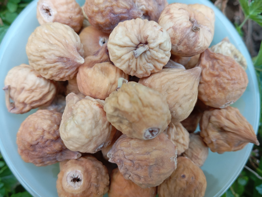 خرید و قیمت انجیر خشک + فروش عمده