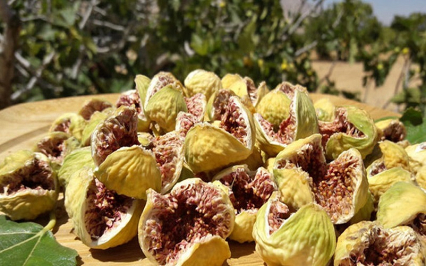 خرید و فروش انجیر خشک + شرایط فوق العاده