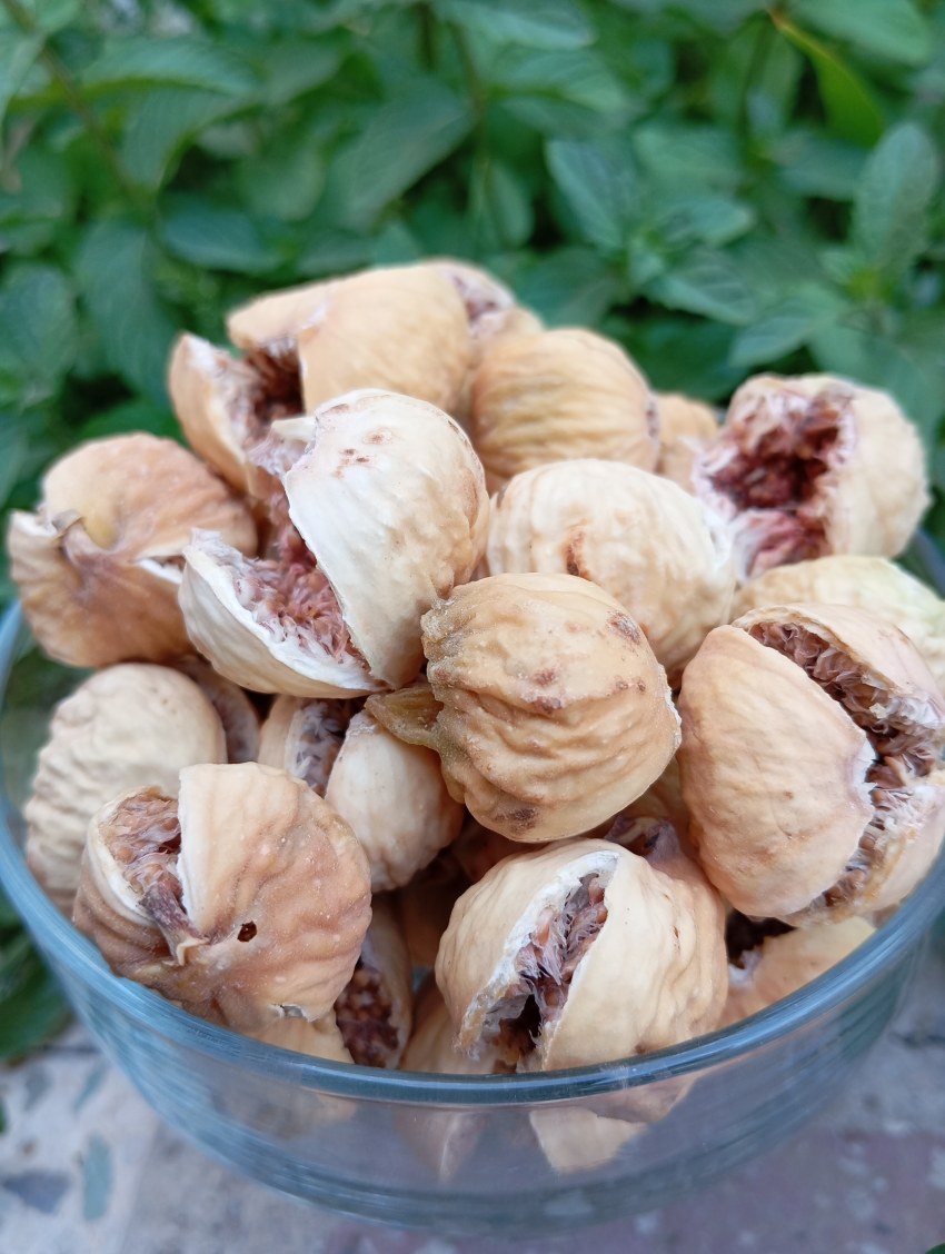 انجیر خشک پرک محصول سال