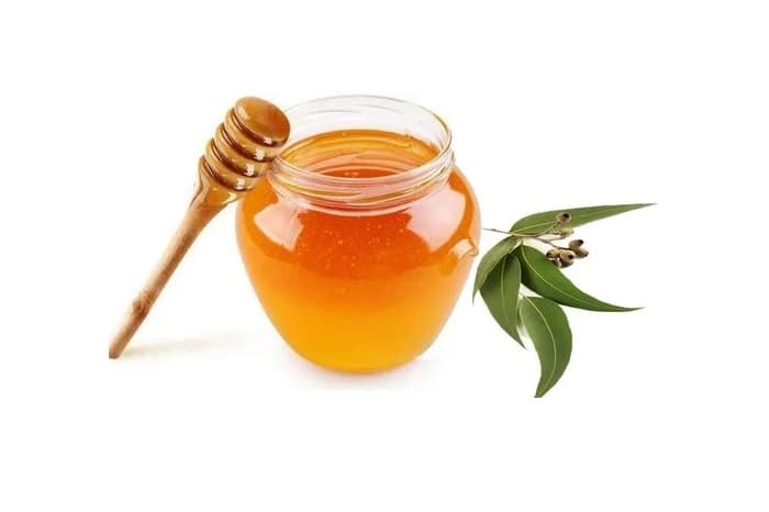 قیمت عسل اوکالیپتوس ارگانیک شیشه 900 گرمی + فروش عمده