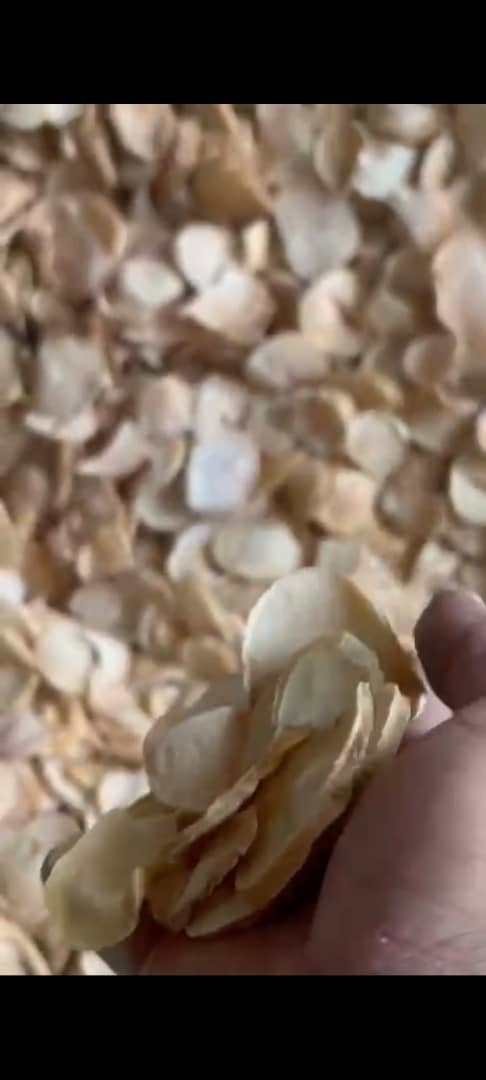 تصویر 3 از فروش عمده موسیر نهاوند