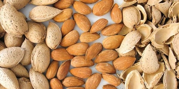 تصویر 5 از مغز بادام سنگی اعلاء + فروش عالی