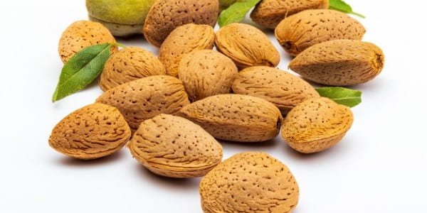 تصویر 4 از فروش بادام سنگی با پوست با کیفیت