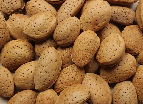 تصویر 1 از بادام سنگی مرغوب ایرانی با شرایط ویژه
