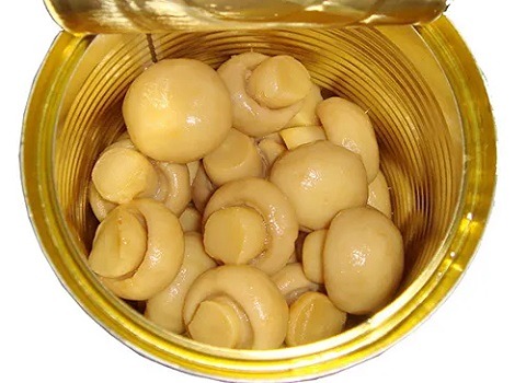 تصویر 4 از خرید نقدی کنسرو قارچ دکمه ای 320 گرمی خوشمزه اعلا + شرایط استثنایی