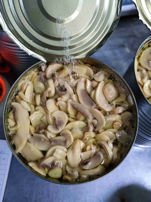 تصویر 3 از خرید نقدی کنسرو قارچ دکمه ای 320 گرمی خوشمزه اعلا + شرایط استثنایی
