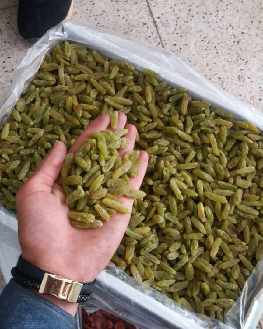 تصویر 1 از قیمت کشمش سبز اعلا