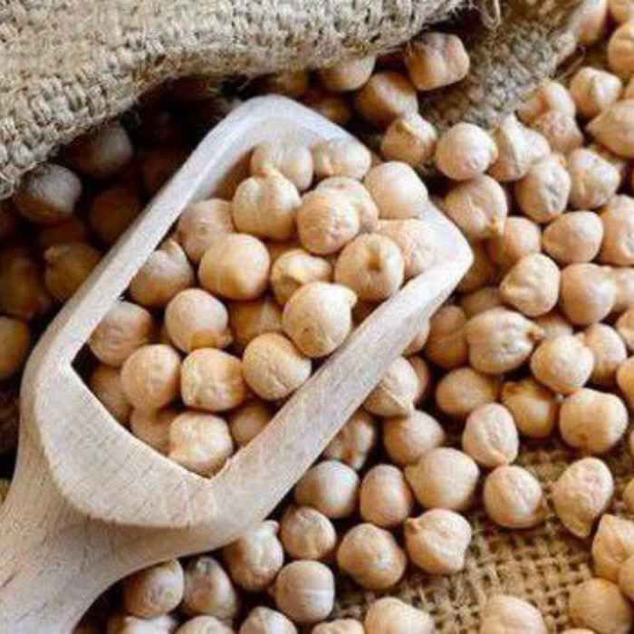فروش نخود دیم
