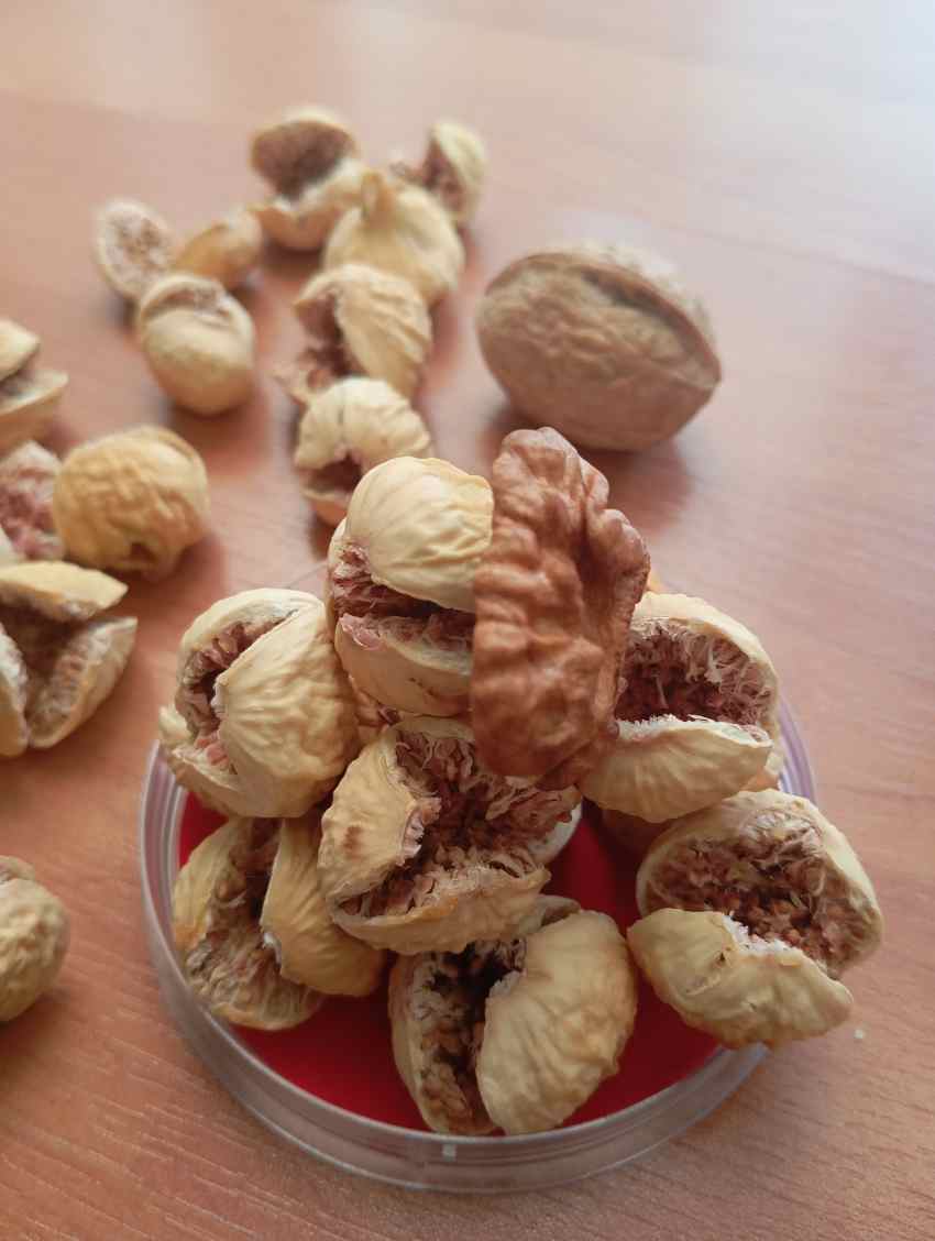 تصویر 2 از خرید انجیر خشک صد یک استهبان + خرید ویژه