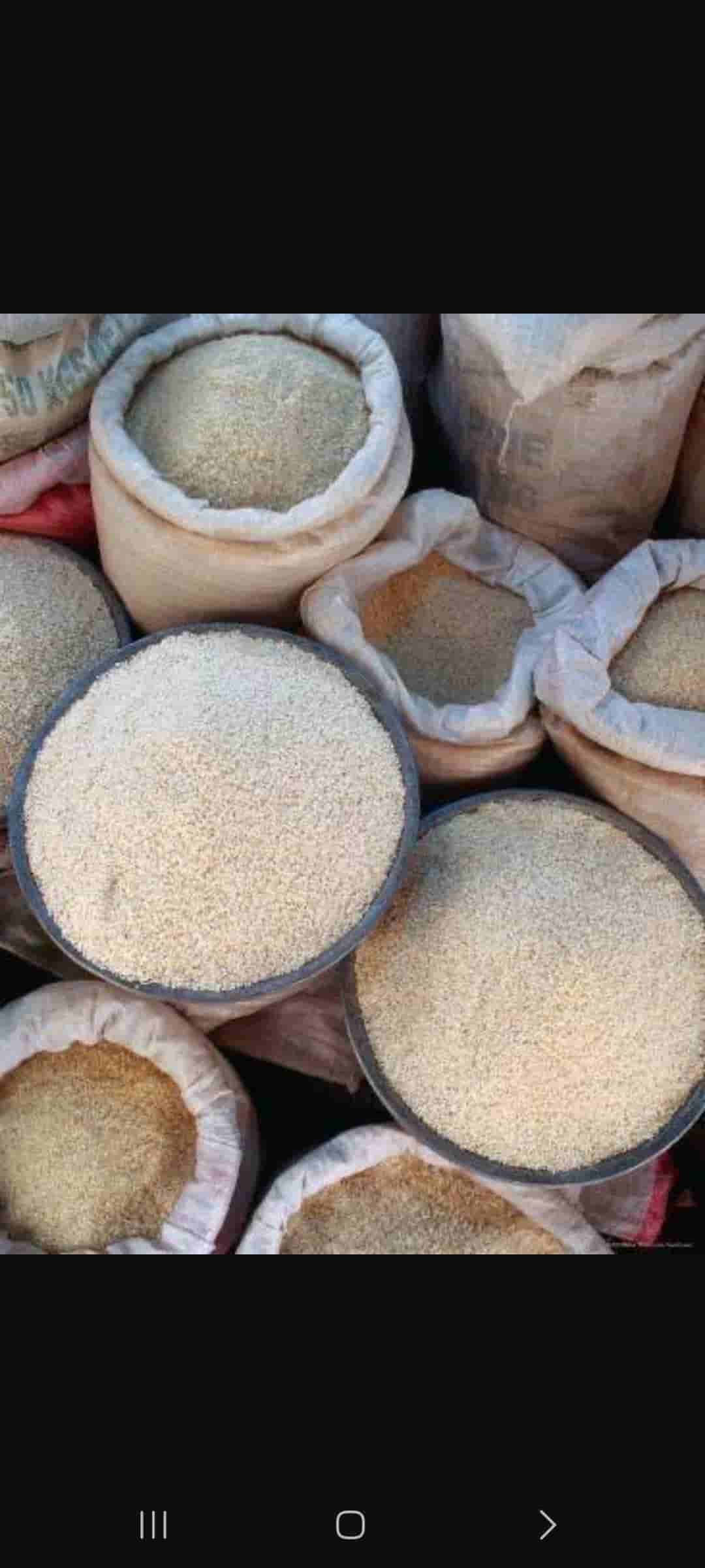 تصویر 2 از خرید برنج ارگانیک ایرانی