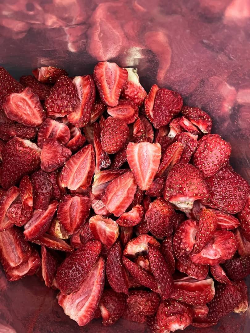 فروش میوه خشک انجمادی + پفکی طبیعی