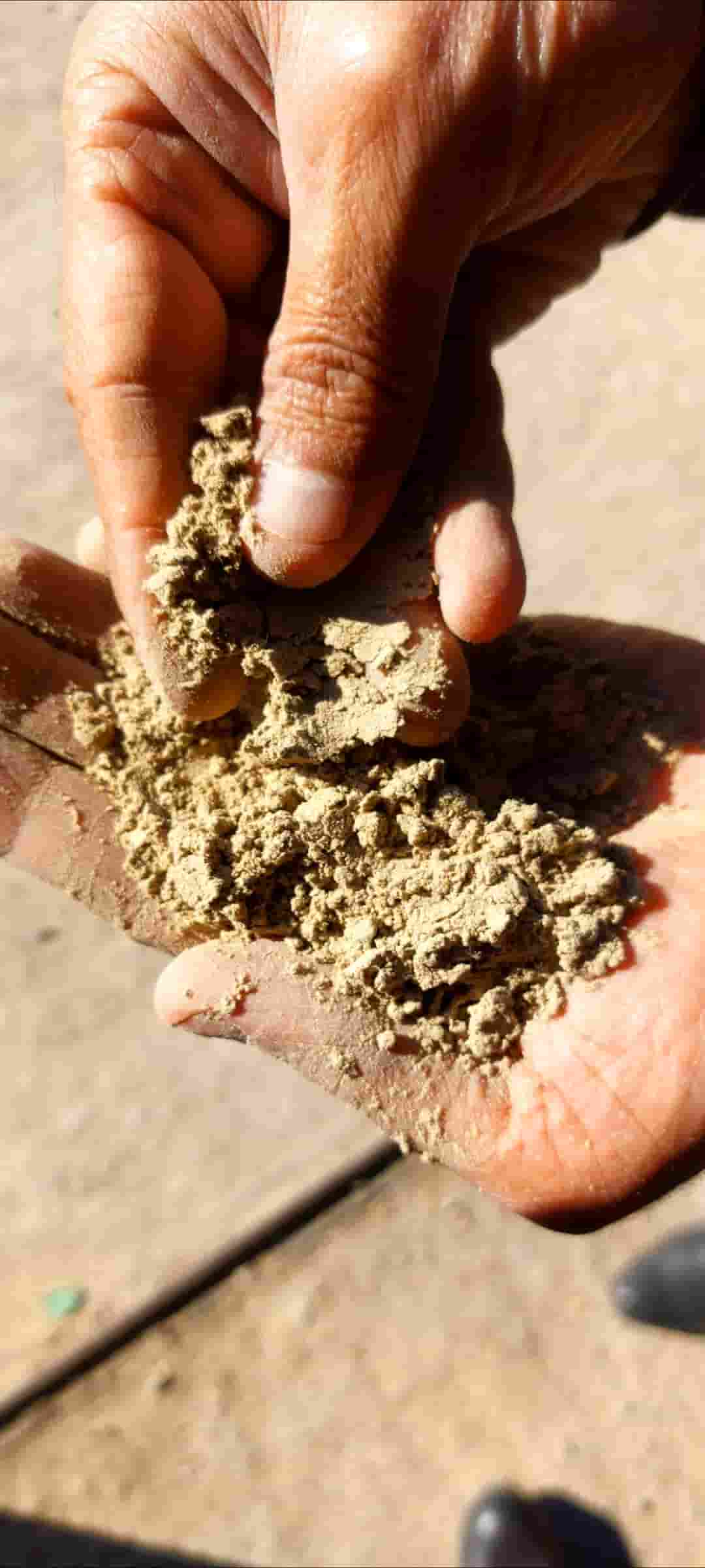 تصویر 2 از آردک سبوس برنج عنبر بو