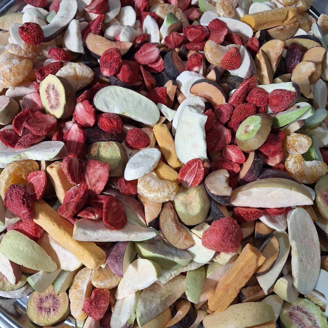تصویر 1 از فروش میوه خشک انجمادی + محصول ارگانیک