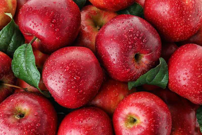قیمت و فروش سیب قرمز صادراتی یزد با کیفیت برتر + فروش عمده