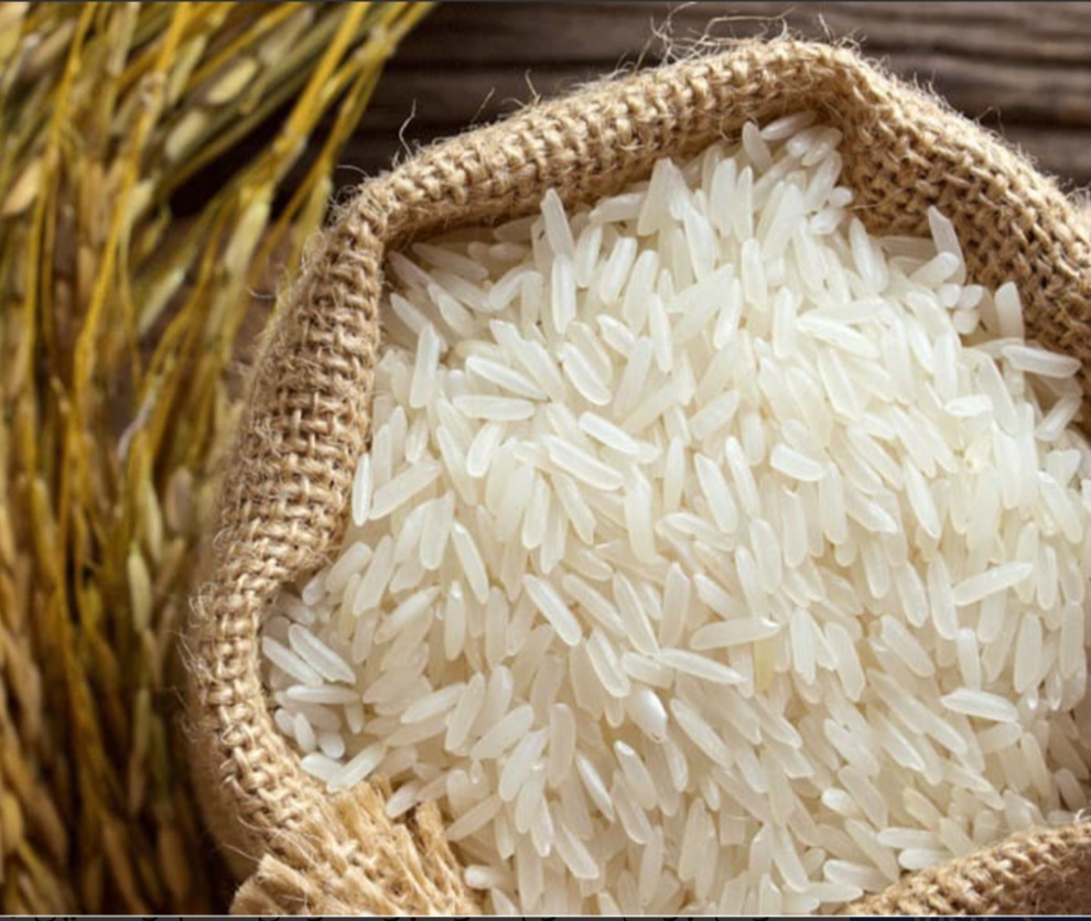 قیمت فروش برنج طارم هاشمی به صورت عمده