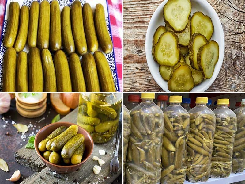 تصویر 4 از عرضه خیارشور شیروان با قیمت نهایی