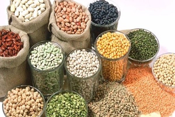 تصویر 3 از قیمت و خرید کنسرو حبوبات + فروش عمده