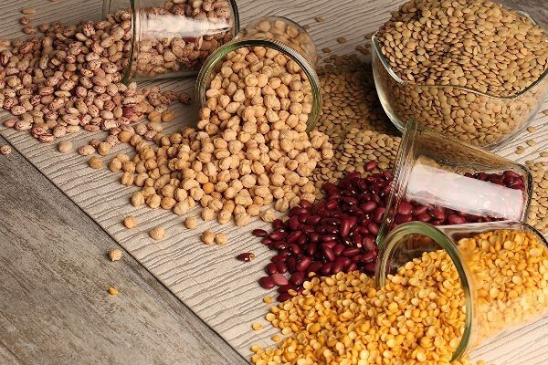 تصویر 2 از قیمت و خرید کنسرو حبوبات + فروش عمده