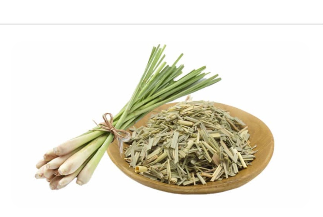 خرید عمده بادرنجبویه خشک (ملیس)