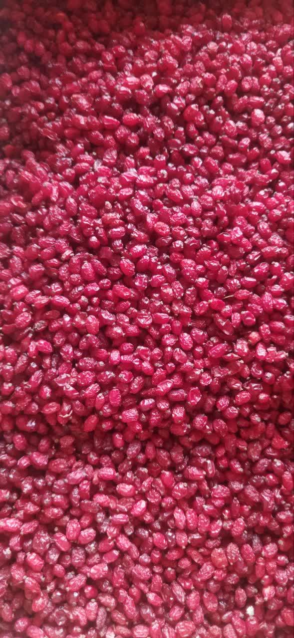 قیمت روز زرشک پفکی اعلا