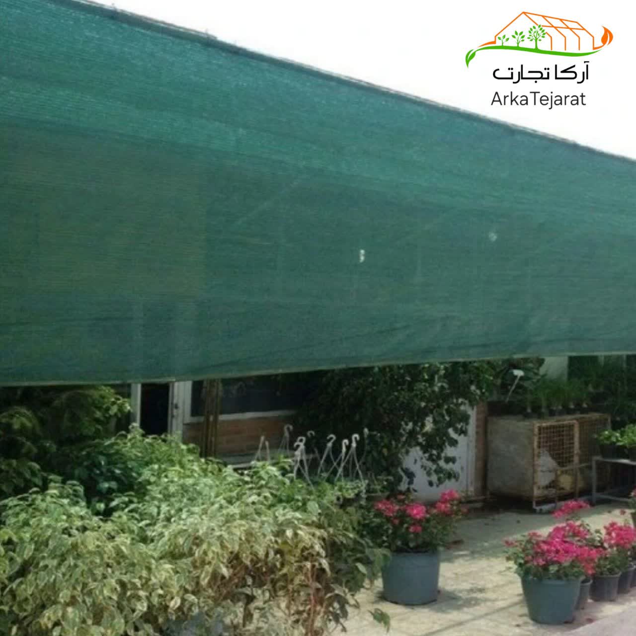 تصویر 5 از فروش عمده شیلد گلخانه ۹۰ درصد با بهترین قیمت بازار