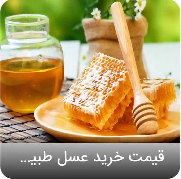 تصویر 3 از فروش ارزان عسل گل + قیمت رقابتی
