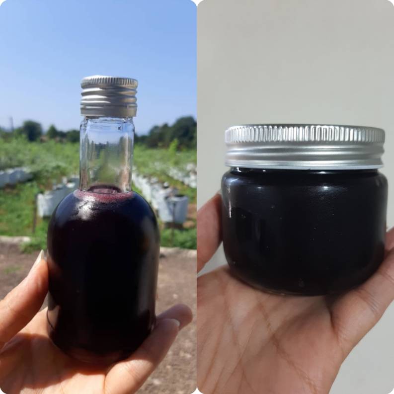 تصویر 1 از پخش عمده شربت بلوبری + ارسال رایگان به سراسر کشور