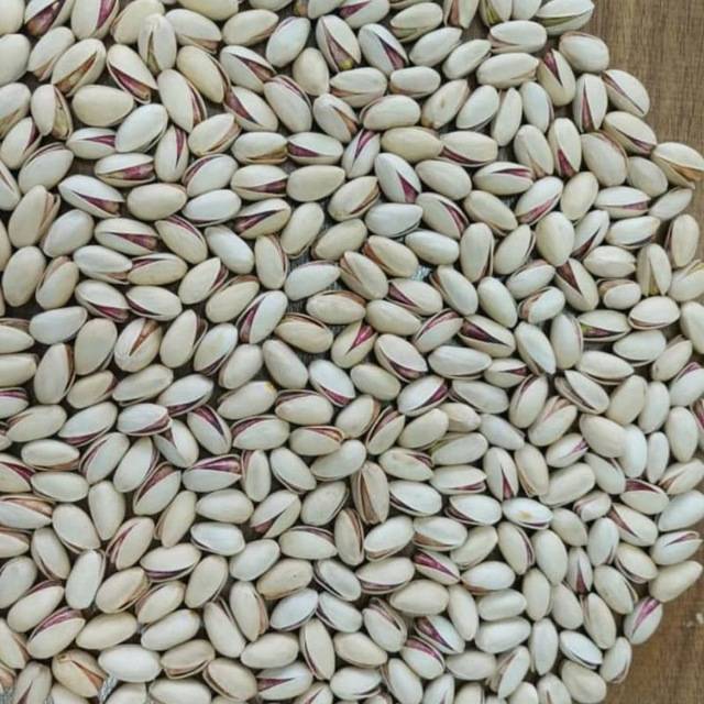 تصویر 2 از پسته اکبری خام رفسنجان + خرید عمده
