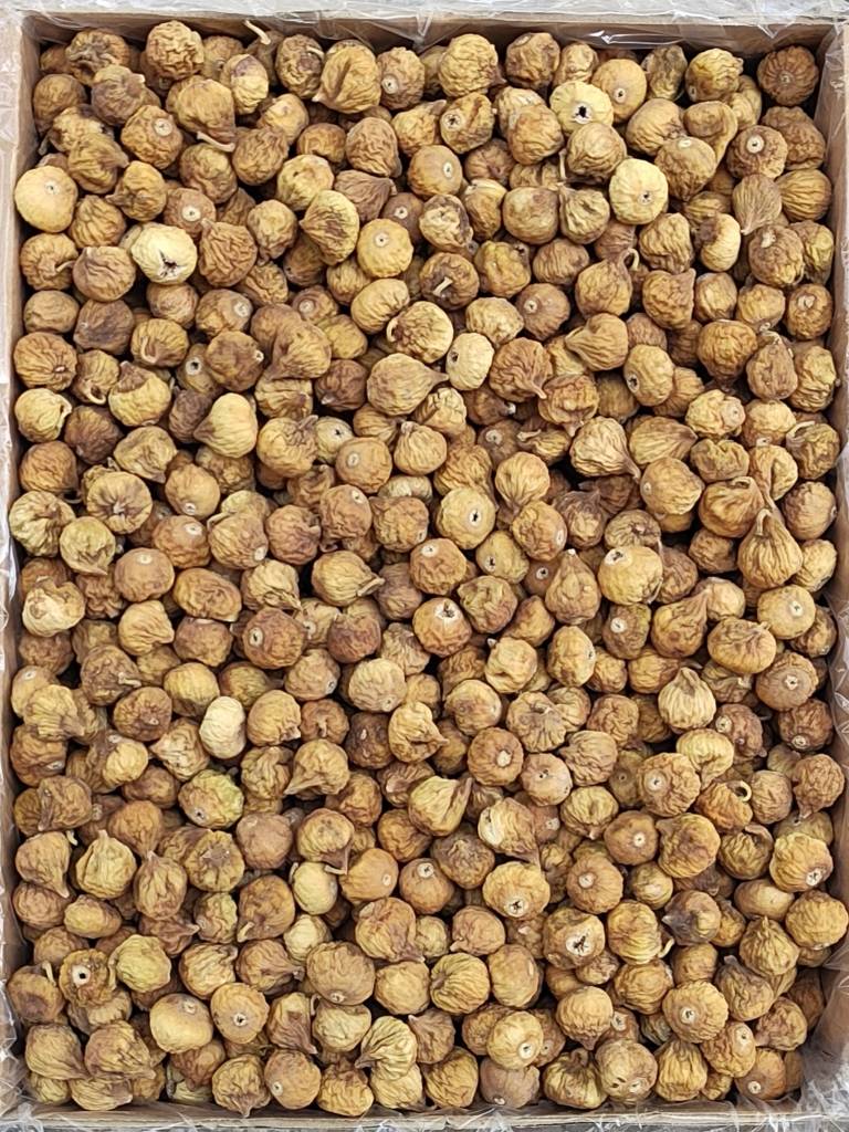 تصویر 1 از خرید و فروش انجیر خشک شکلاتی + قیمت عالی
