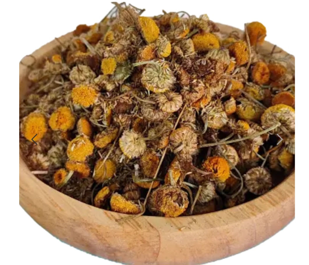 تصویر 1 از خرید عمده گل بابونه