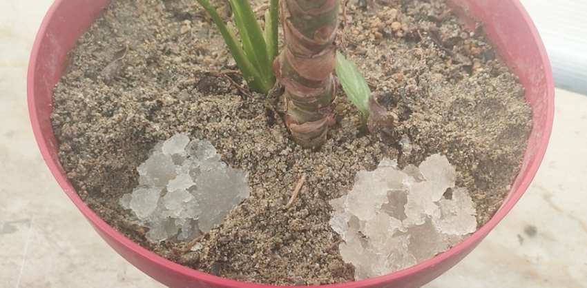 فروش پودر جاذب خاک برای گلدان‌ های تراس و روفگاردن