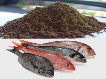 خرید به صرفه پودر ماهی اصفهان