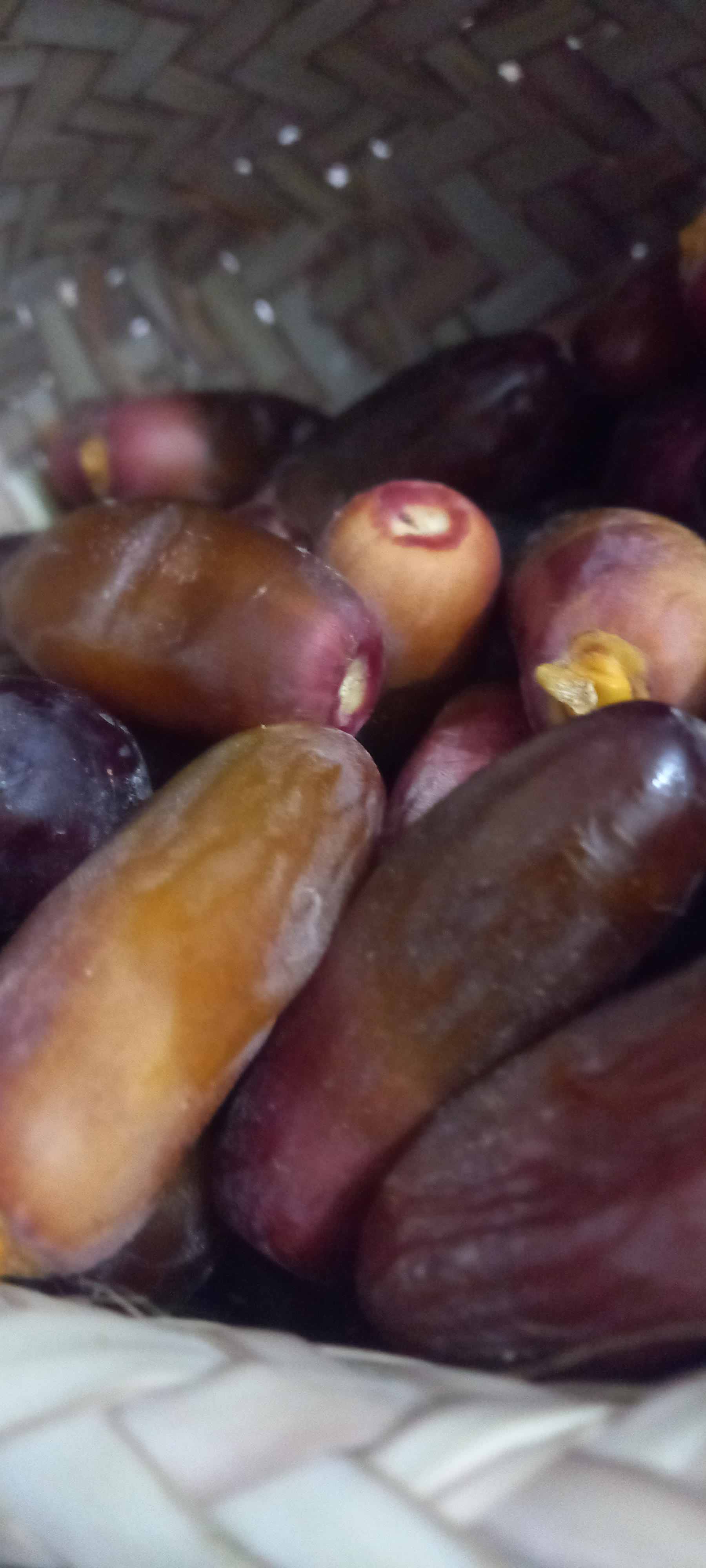 قیمت‌ و خرید خرما‌ مضافتی لوکس + فروش‌ عمده