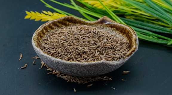 قیمت گیاه زیره