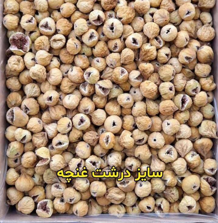 تصویر 4 از فروش ارزان انجیر غنچه اعلا + قیمت رقابتی و کیفیت بالا