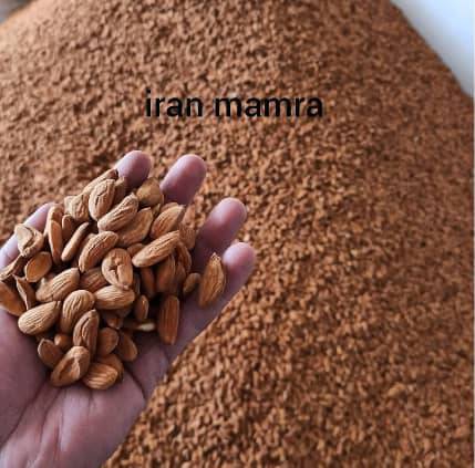 خرید بادام مامایی سامان + بهترین قیمت