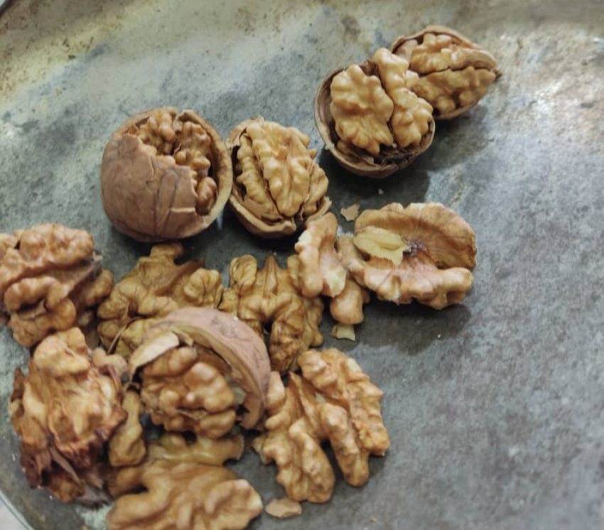 قیمت و خرید مغز گردوی صادراتی اعلاء ارومیه مستقیم از کشاورز + عمده با قیمت مناسب